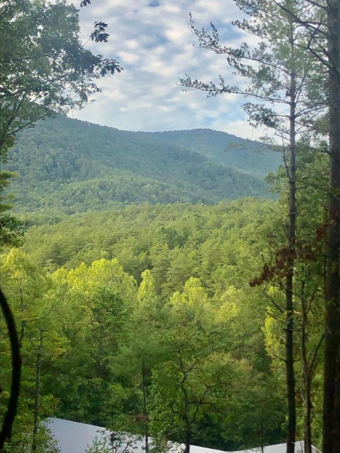 Mountain-Top Cabin Get-Away With Hot Tub And A View Sautee Nacoochee Exterior foto