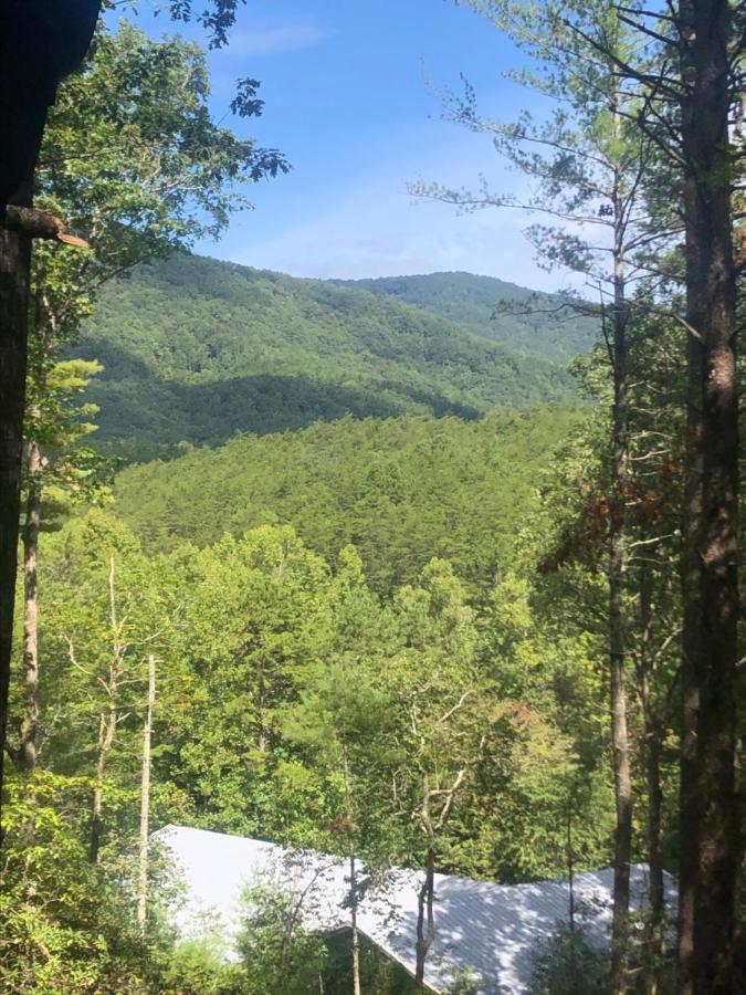 Mountain-Top Cabin Get-Away With Hot Tub And A View Sautee Nacoochee Exterior foto